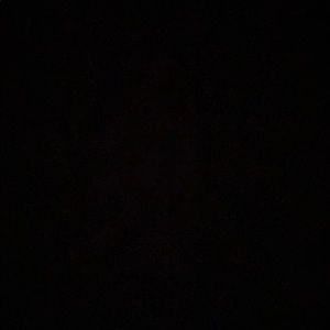 Meet your Posher, Samson